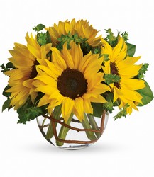 Sunny Sunflowers from Boulevard Florist Wholesale Market